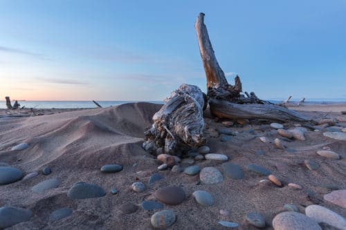 driftwood on the beach of the park point hike