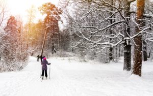 cross-country skiing in forest