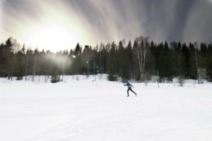 cross-country skiing on a bright sunny day.