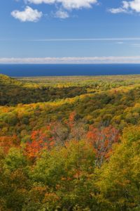 Plan Ahead for the Fall Foliage in Duluth 1