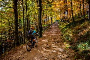 Plan Ahead for the Fall Foliage in Duluth 5