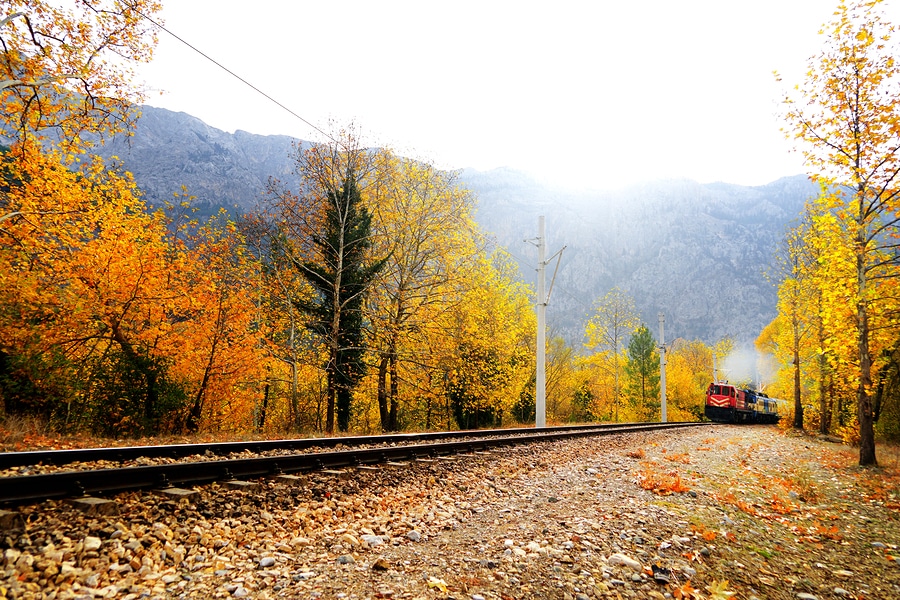 3 Reasons to ride the North Shore Scenic Railroad this fall