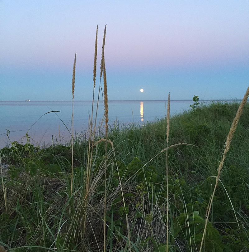 Explore Park Point Duluth with Us