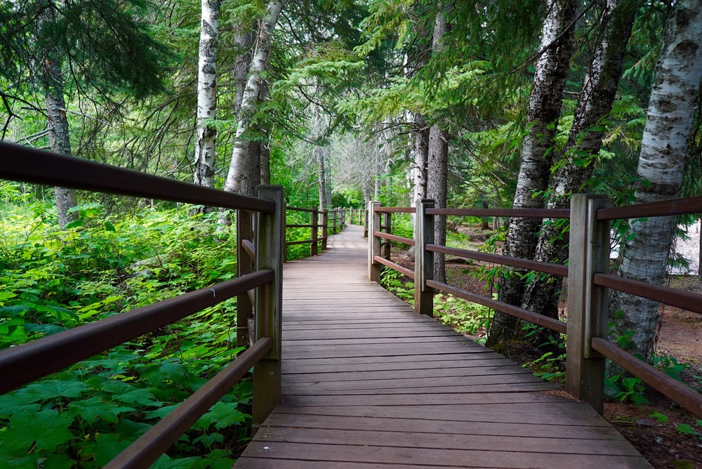 Photo of one of the Minnesota State Parks near Duluth with beautiful hiking trails and wooded areas