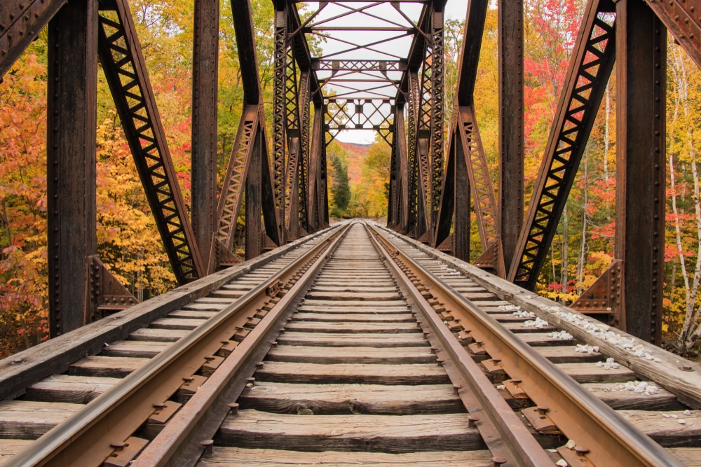 Duluth Fall Colors on the North Shore Scenic Railroad